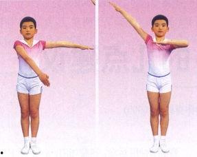 全部成人广播体操视频,从广播体操视频看全民运动新风尚